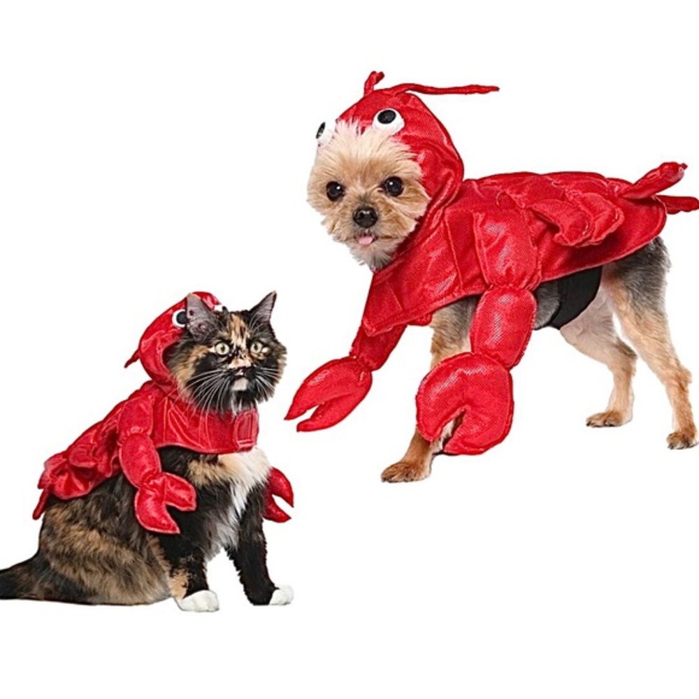 PET LOBSTER COSTUME NWT